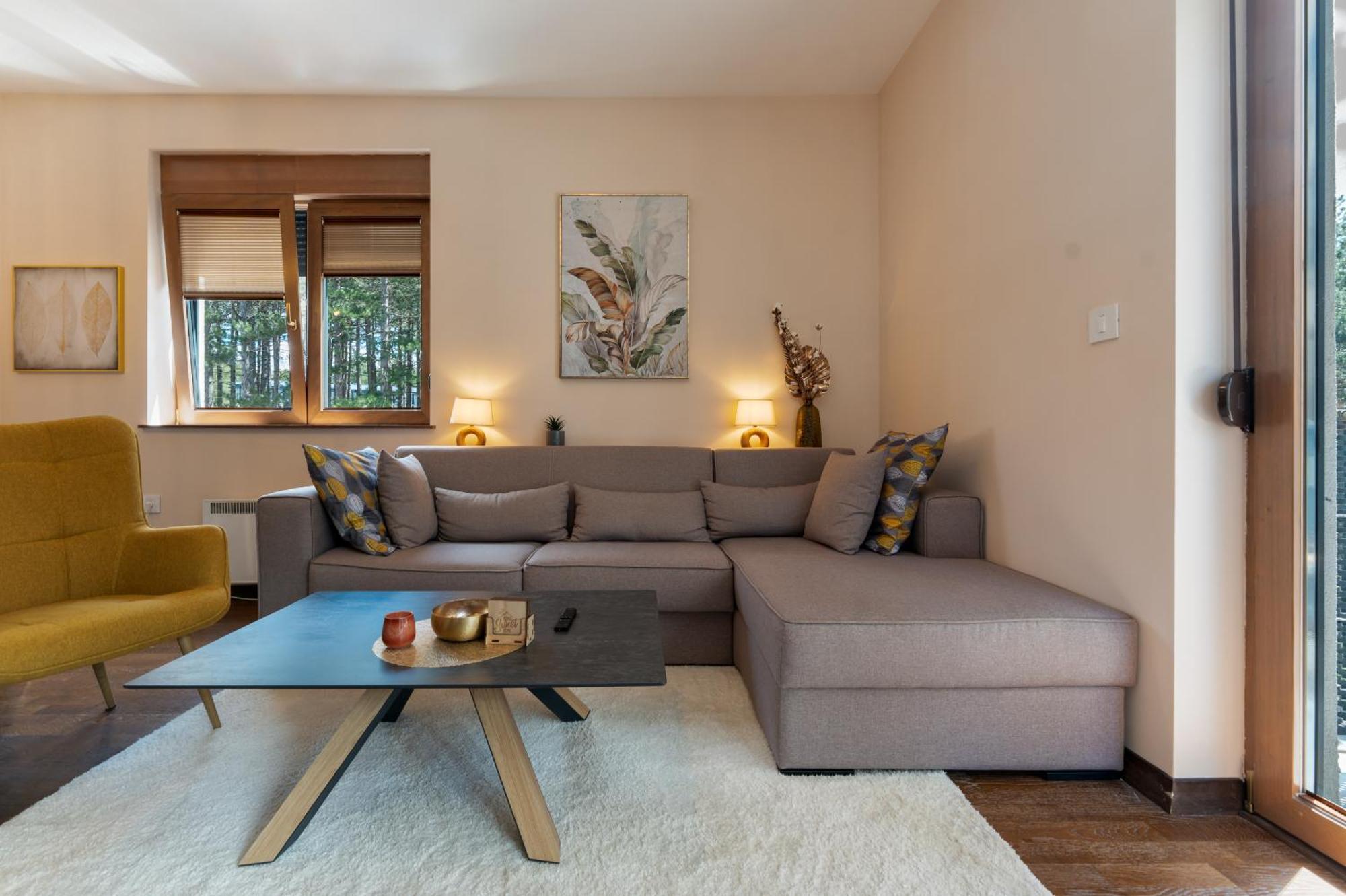 Apartment Centar Lux *